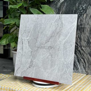 Ảnh Gạch Ấn Độ CSI88156 7