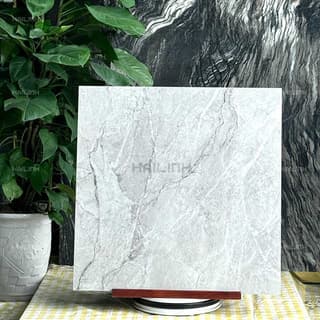 Ảnh Gạch Ấn Độ CSI88156 6