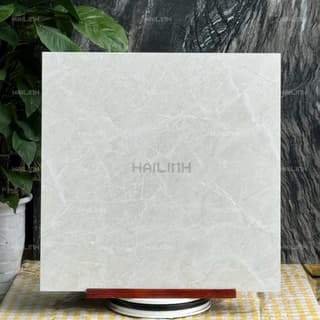 Ảnh Gạch Ấn Độ CSI88177 2