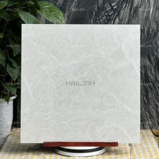 Ảnh Gạch Ấn Độ CSI88177 3