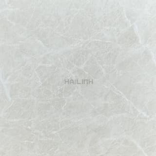 Ảnh Gạch Ấn Độ CSI88177 1