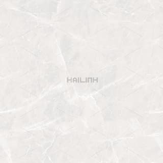 Ảnh Gạch Ấn Độ CSI88178 2