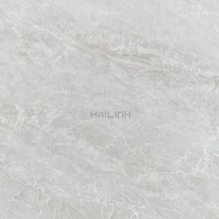 Ảnh Gạch Ấn Độ CSI88178 7