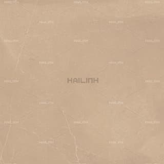 Ảnh Gạch Ấn Độ CSI88179 4