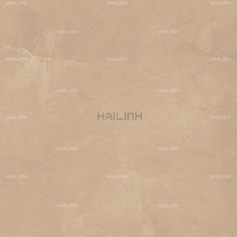 Gạch Ấn Độ CSI88179