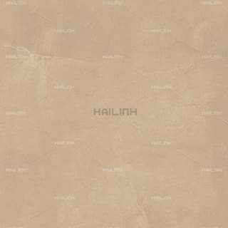 Gạch Ấn Độ CSI88179