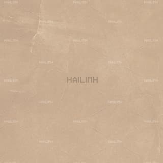 Ảnh Gạch Ấn Độ CSI88179 2