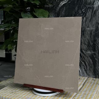 Ảnh Gạch Ấn Độ CSI88179 5