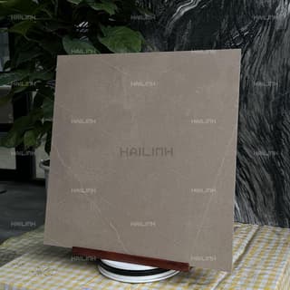 Ảnh Gạch Ấn Độ CSI88179 6