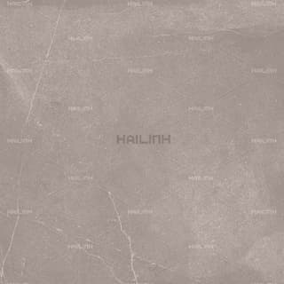 Ảnh Gạch Ấn Độ CSI88180 4