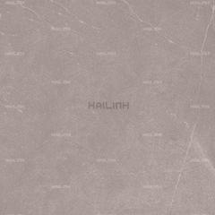 Ảnh Gạch Ấn Độ CSI88180 3