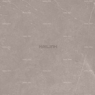 Ảnh Gạch Ấn Độ CSI88180 3