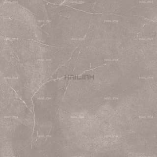 Ảnh Gạch Ấn Độ CSI88180 2