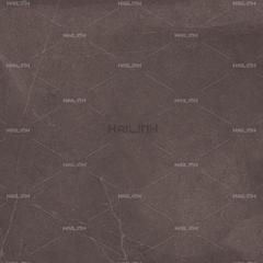 Ảnh Gạch Ấn Độ CSI88181 4
