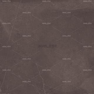 Ảnh Gạch Ấn Độ CSI88181 4