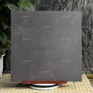 Ảnh Gạch Ấn Độ CSI88181 6