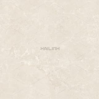 Ảnh Gạch Ấn Độ CSI88182 2