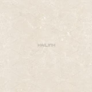 Ảnh Gạch Ấn Độ CSI88182 3