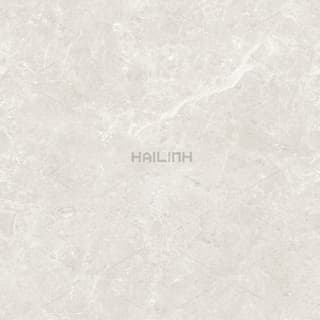 Ảnh Gạch Ấn Độ CSI88183 2