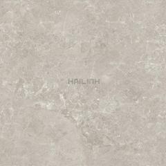 Ảnh Gạch Ấn Độ CSI88184 4