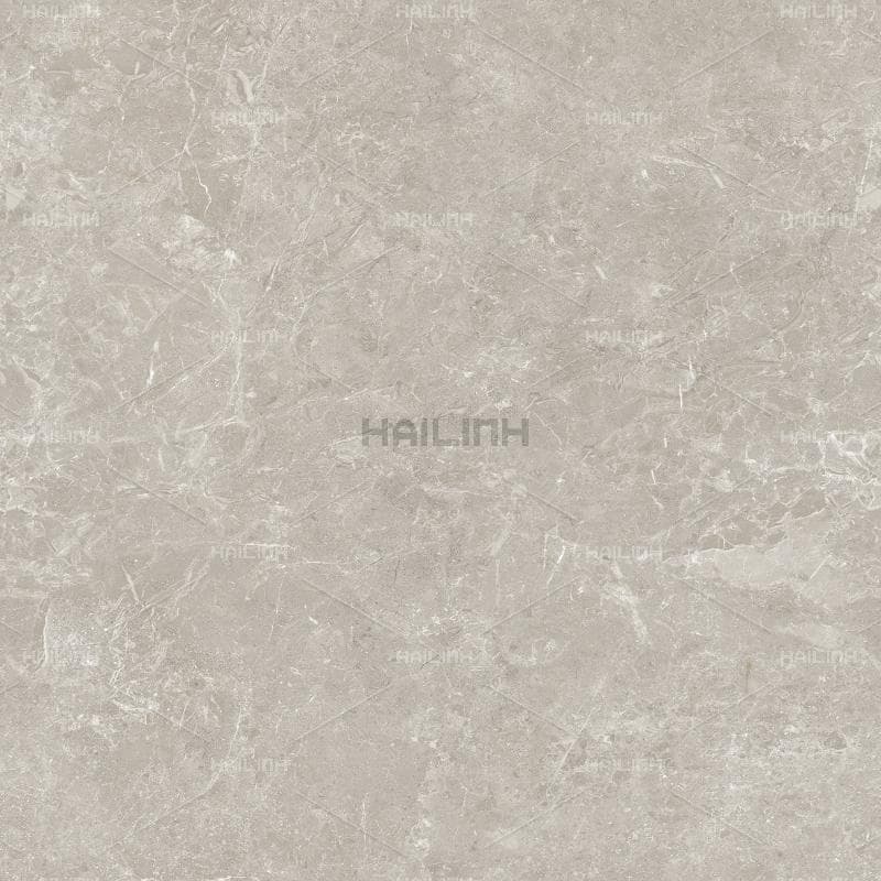 Gạch Ấn Độ CSI88184