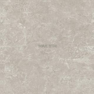 Ảnh Gạch Ấn Độ CSI88184 1