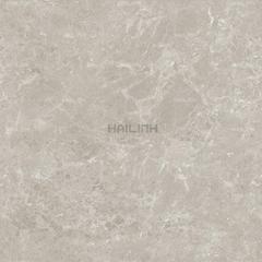 Ảnh Gạch Ấn Độ CSI88184 3