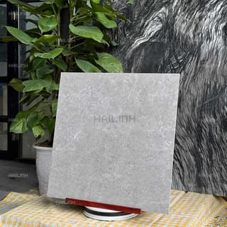 Ảnh Gạch Ấn Độ CSI88184 7