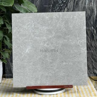 Ảnh Gạch Ấn Độ CSI88184 6