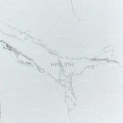 Ảnh Gạch Ấn Độ CSI88185 7