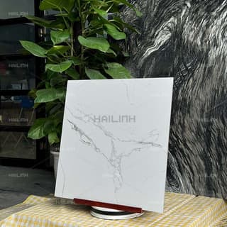 Ảnh Gạch Ấn Độ CSI88185 6