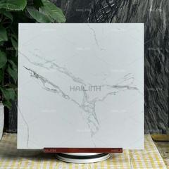 Ảnh Gạch Ấn Độ CSI88185 6