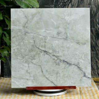 Ảnh Gạch Ấn Độ CSI88186 5