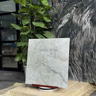 Ảnh Gạch Ấn Độ CSI88186 6