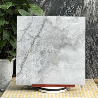 Ảnh Gạch Ấn Độ CSI88187 2