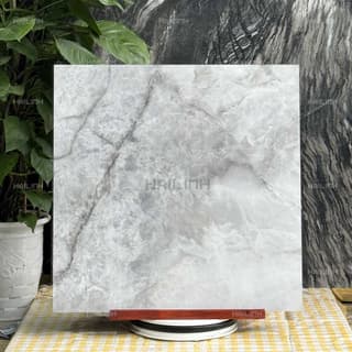 Ảnh Gạch Ấn Độ CSI88187 3