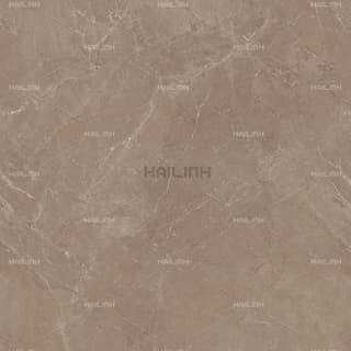 Ảnh Gạch Ấn Độ CSI88188 4