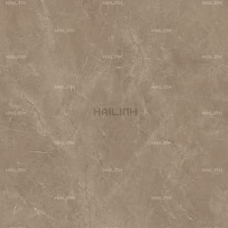 Ảnh Gạch Ấn Độ CSI88188 2