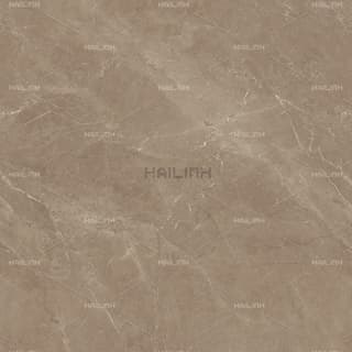 Ảnh Gạch Ấn Độ CSI88188 3