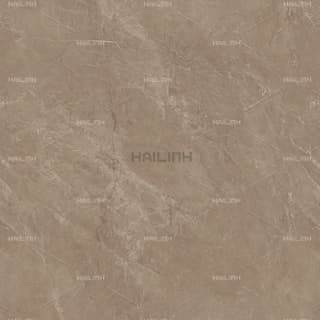 Ảnh Gạch Ấn Độ CSI88188 1