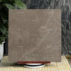 Ảnh Gạch Ấn Độ CSI88188 6