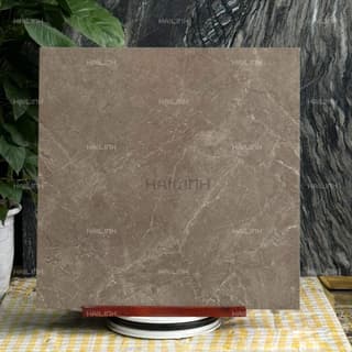 Ảnh Gạch Ấn Độ CSI88188 5