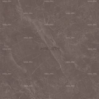 Ảnh Gạch Ấn Độ CSI88189 4