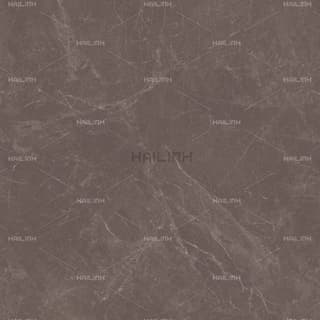 Ảnh Gạch Ấn Độ CSI88189 3