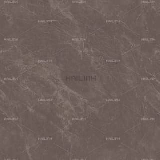 Ảnh Gạch Ấn Độ CSI88189 1