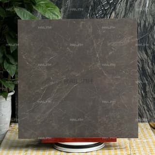 Ảnh Gạch Ấn Độ CSI88189 5