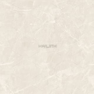 Ảnh Gạch Ấn Độ CSI88190 4