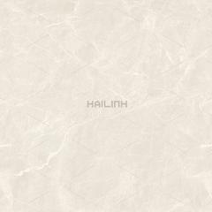 Ảnh Gạch Ấn Độ CSI88190 2