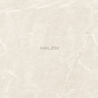 Ảnh Gạch Ấn Độ CSI88190 1