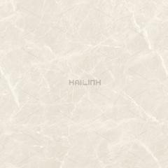 Ảnh Gạch Ấn Độ CSI88190 3